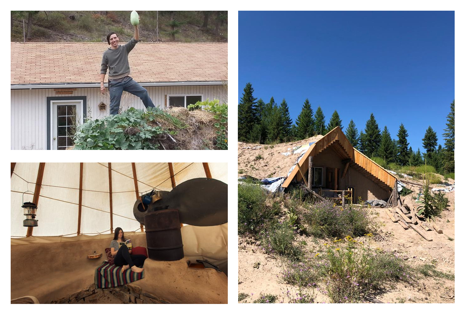 Wheaton-labs-growies-wofati wofati, rocket mass TeePee, harvesting from hugel