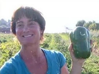 helen_atthowe helen_atthowe holding pepper in farm