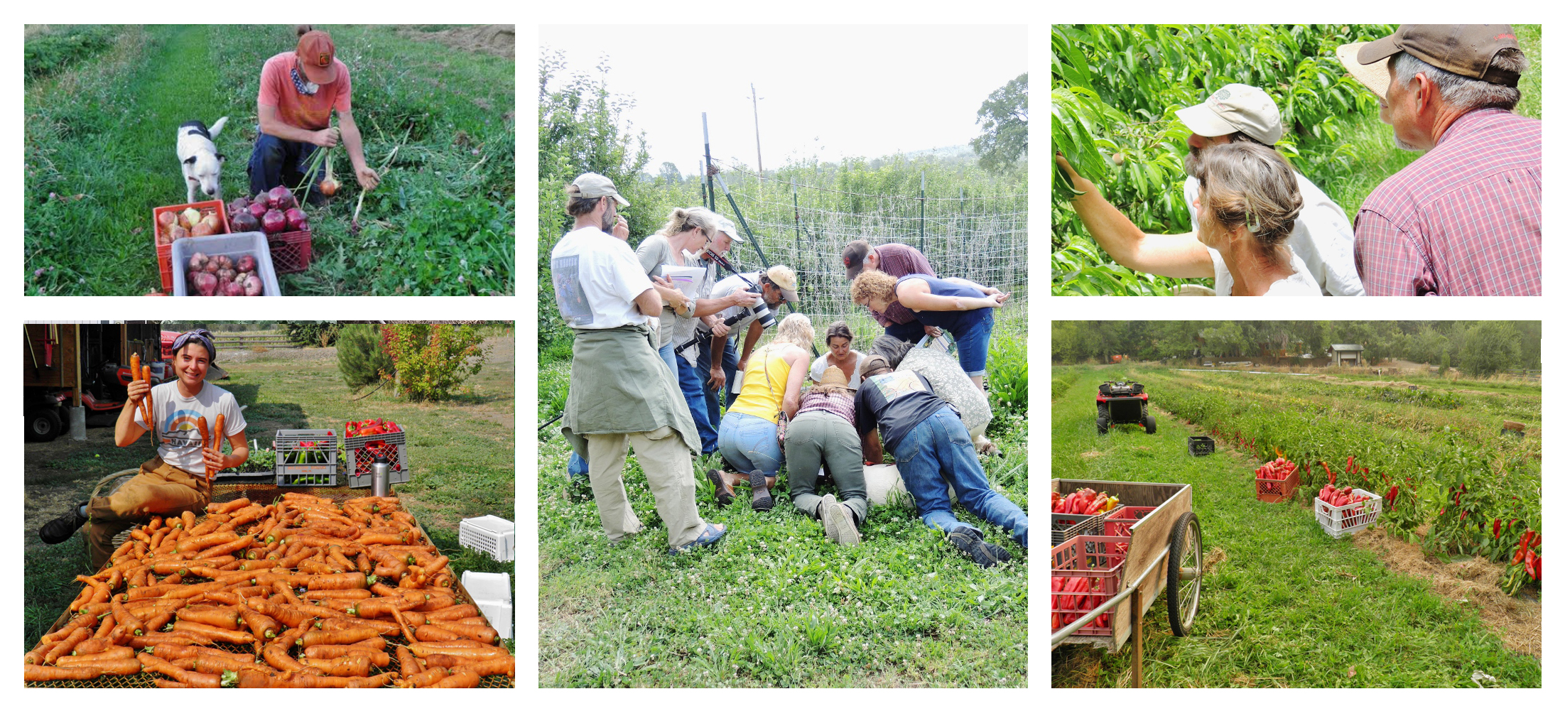 garden master course at wheaton labs people learning permaculture gardening 