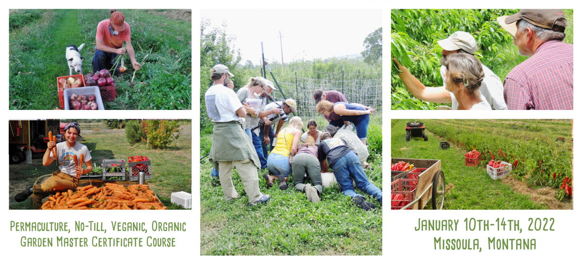 garden master course at wheaton labs