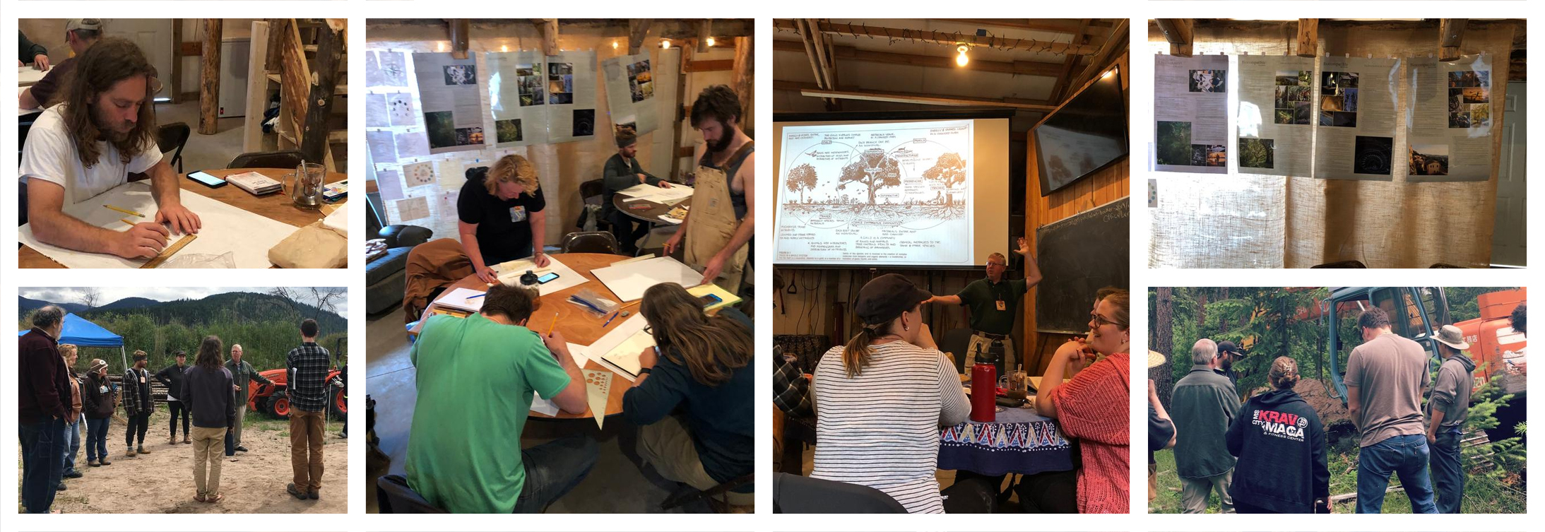 PDC-study-permaculture-Design-course-copy