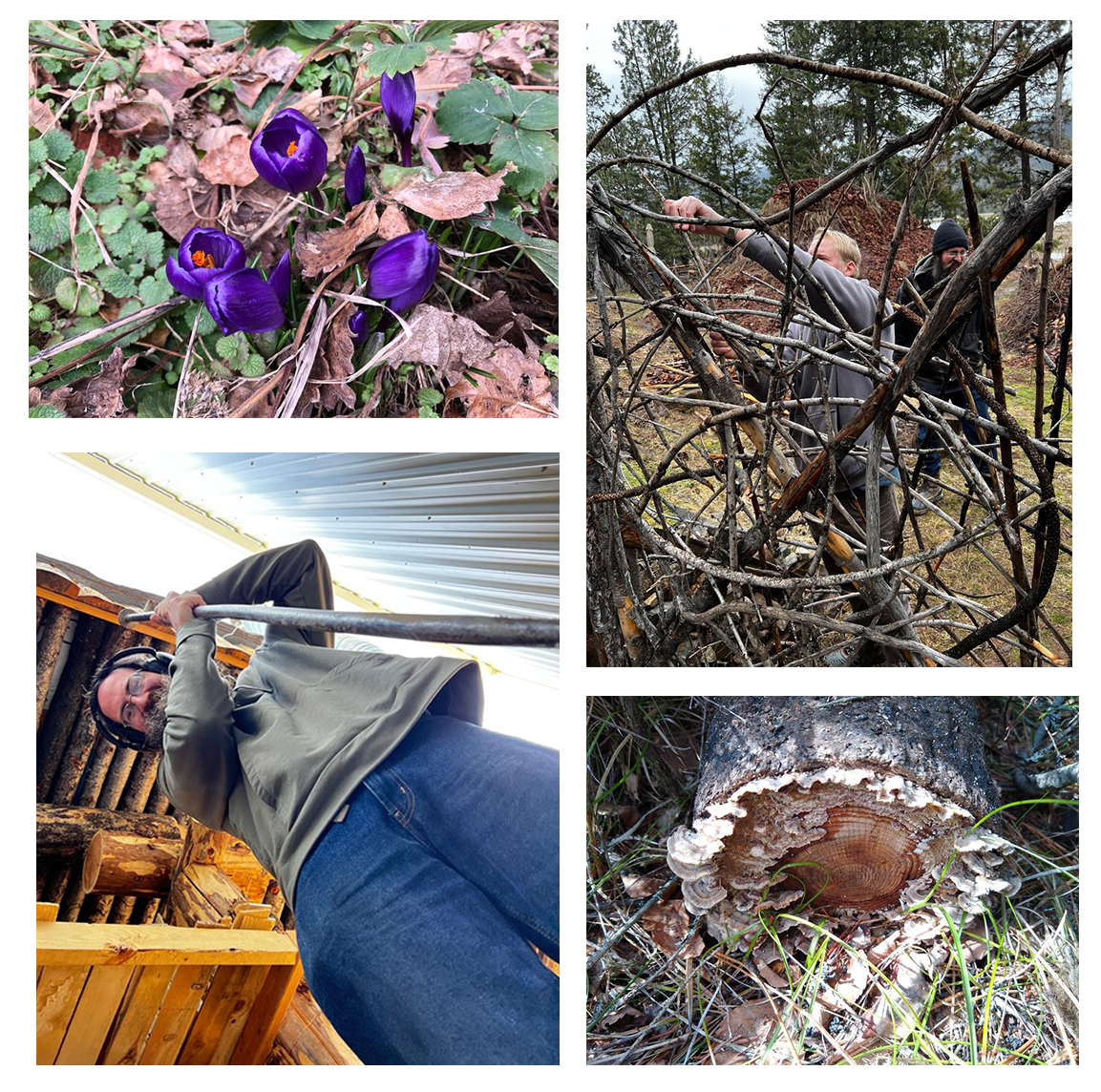 SmallCollage