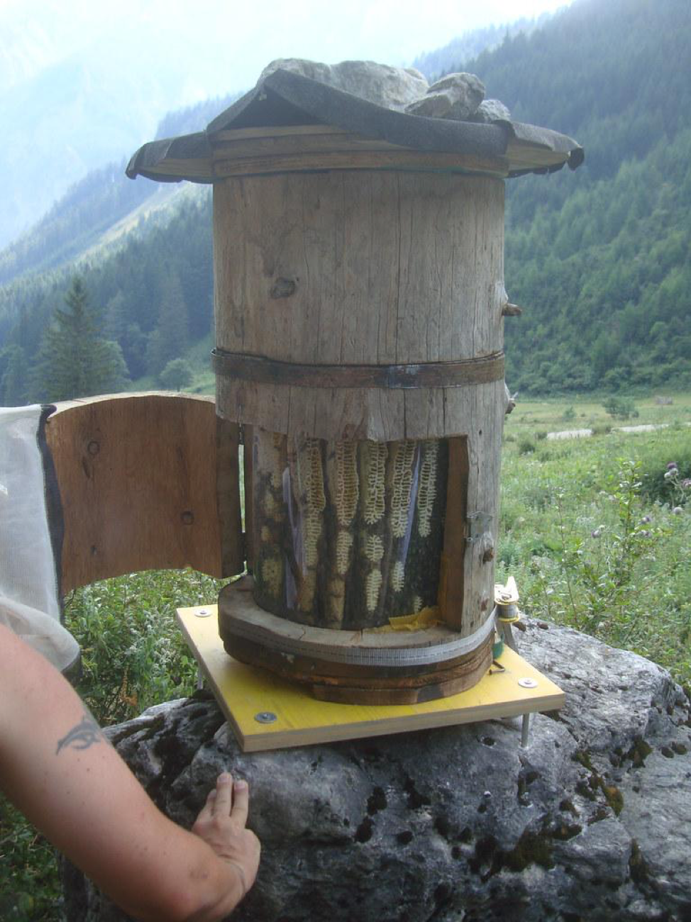 Holzer Hive