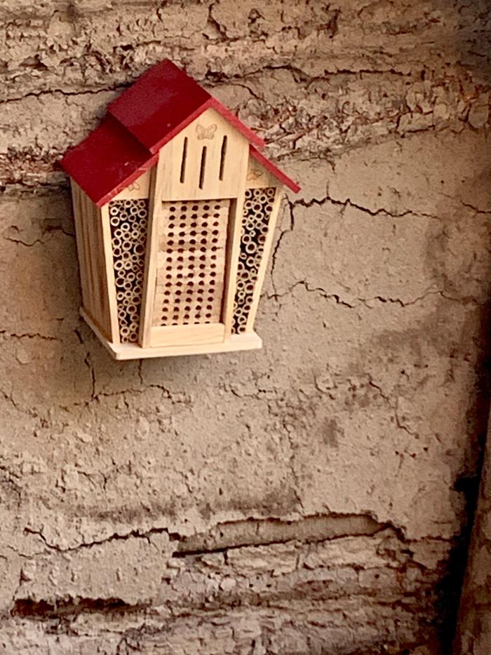 bee-house-bootcamp